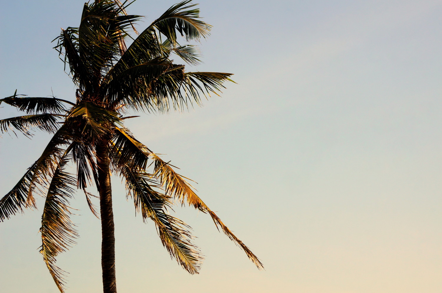 Off to explore. Let’s go to Cuba!