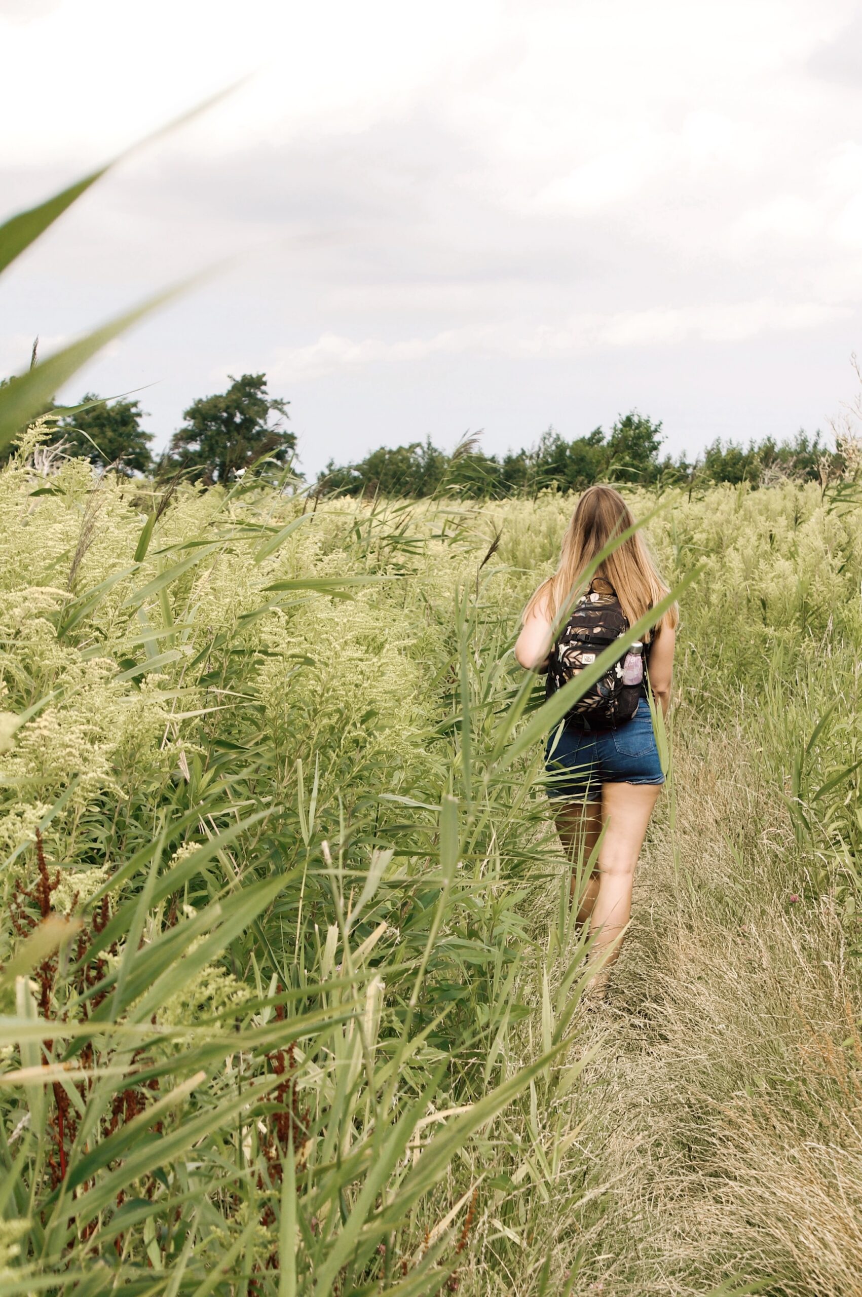 Tiengemeten – een groen eiland in de drukke Randstad