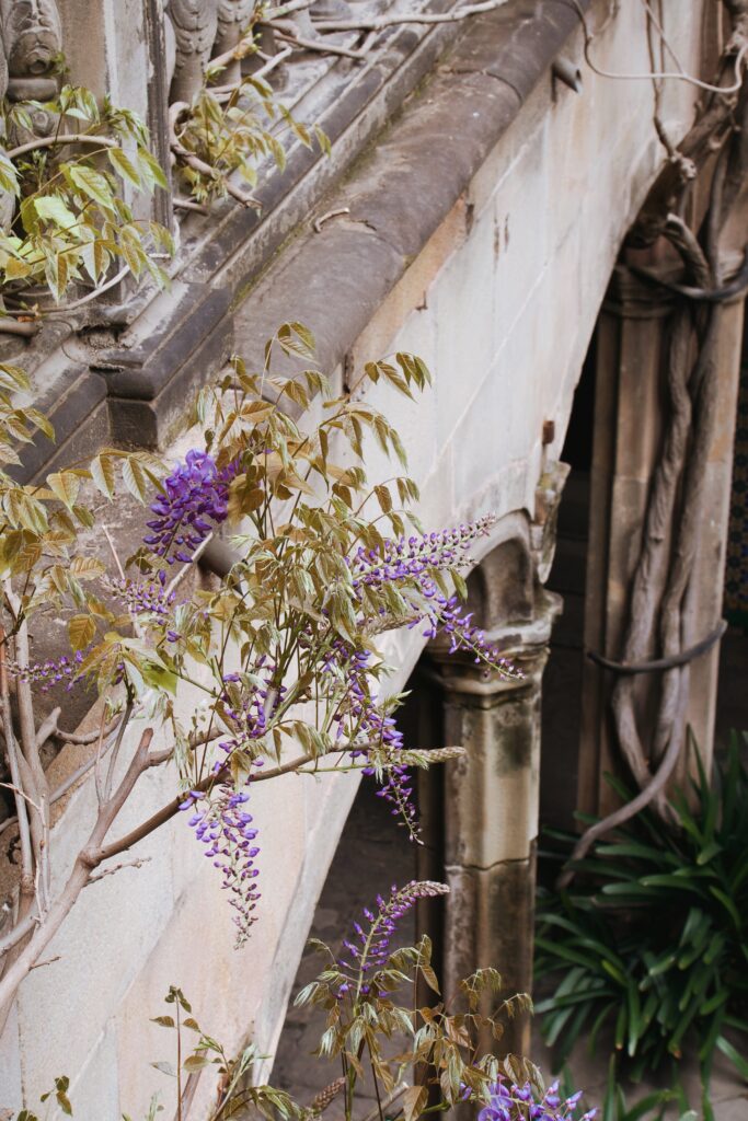 Casa de l'Ardiaca Barcelona