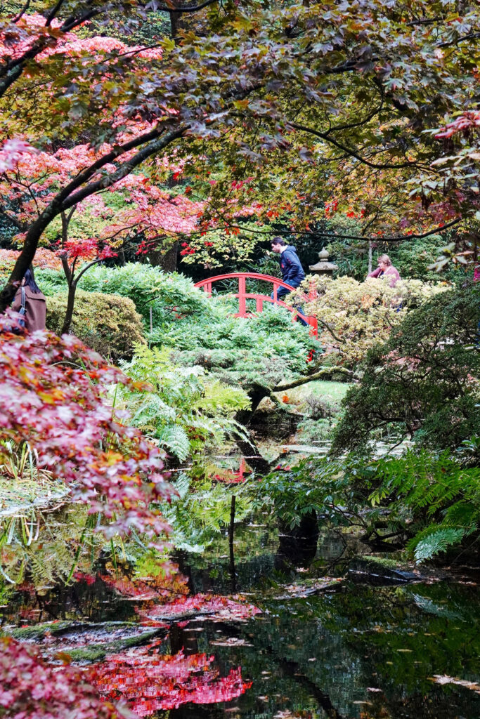 Japanse tuin Den Haag herfst