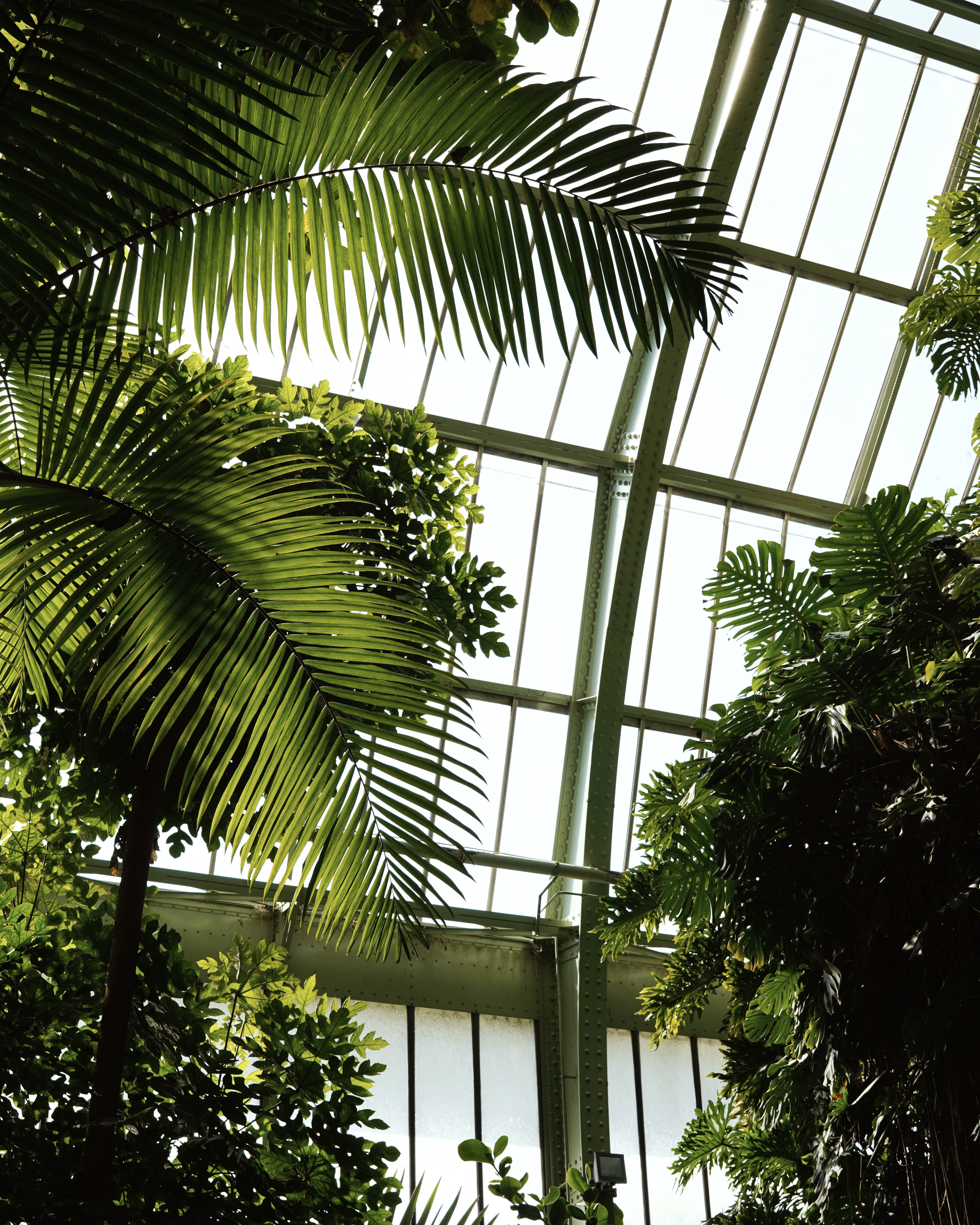 Botanische tuin Parijs