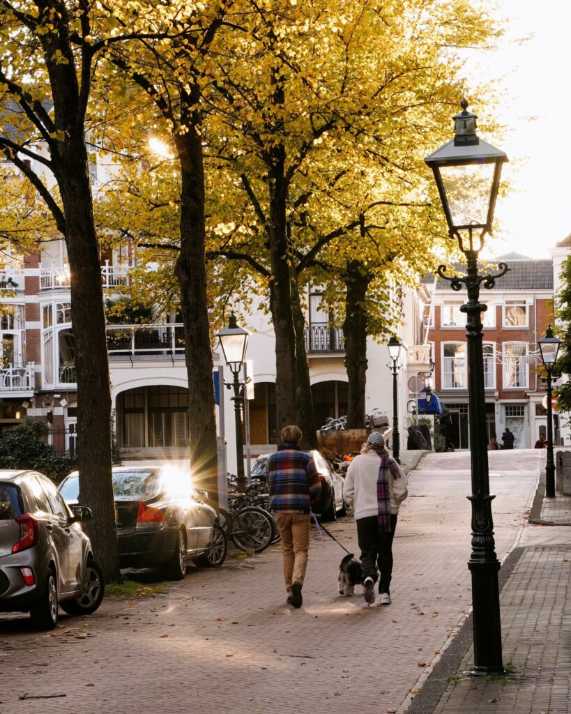 Hooigracht Den Haag